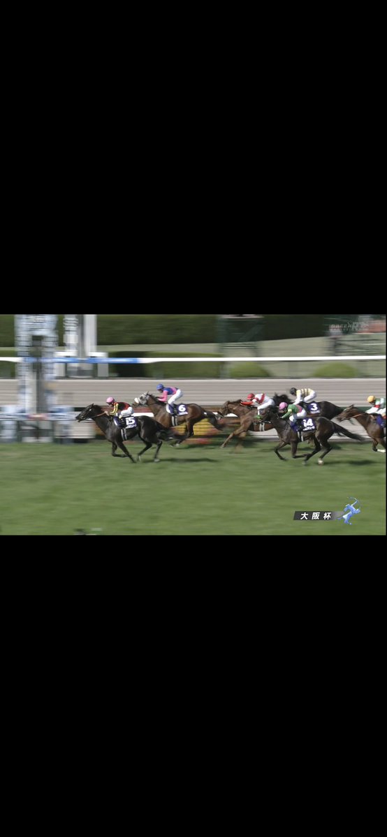 一条流星 tweet media