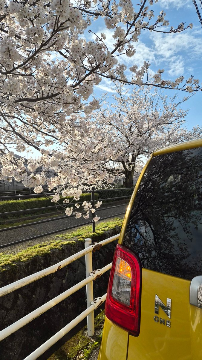 『あひぬ。 🐺🧚🏻🦫🥦 next9/12 milet 森のホール21 tweet media