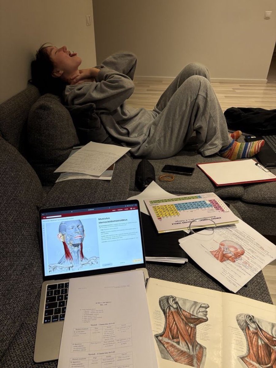 femmenotes tweet media