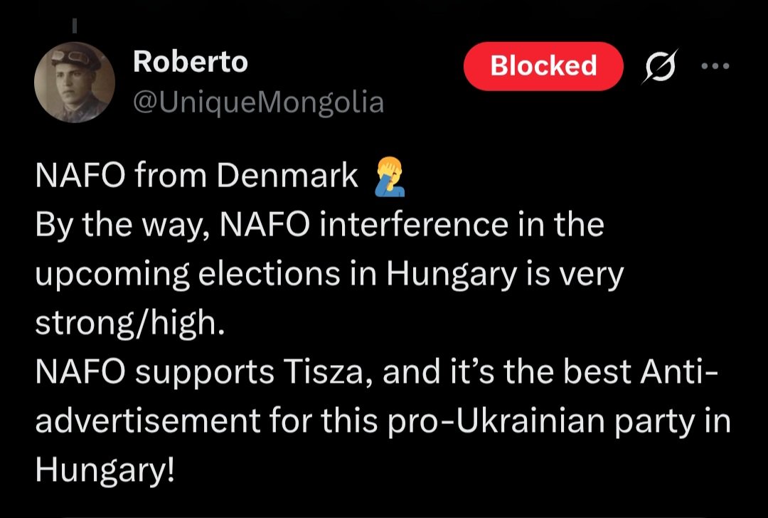 LottaLove23 tweet media