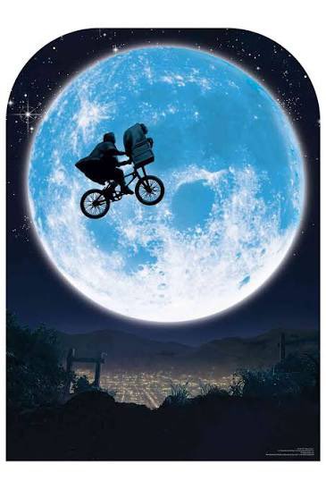 Noa Rossaa tweet media