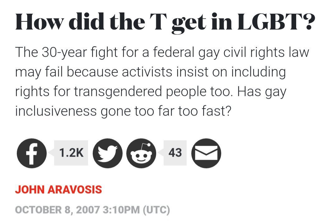 gato fumante tweet media