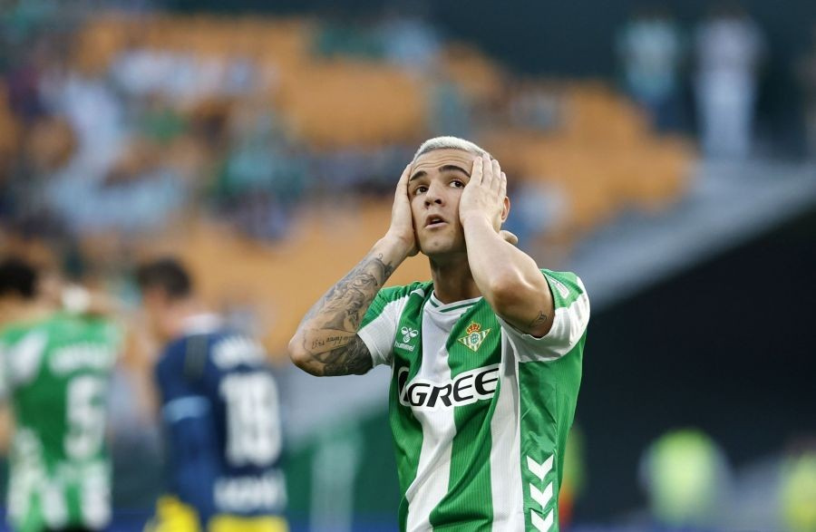 Pepe Elías tweet media