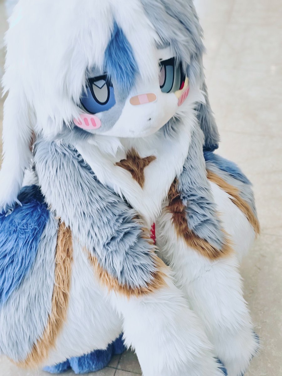 님캐를탐하는자 tweet media