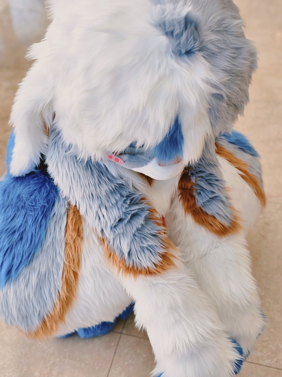 님캐를탐하는자 tweet media