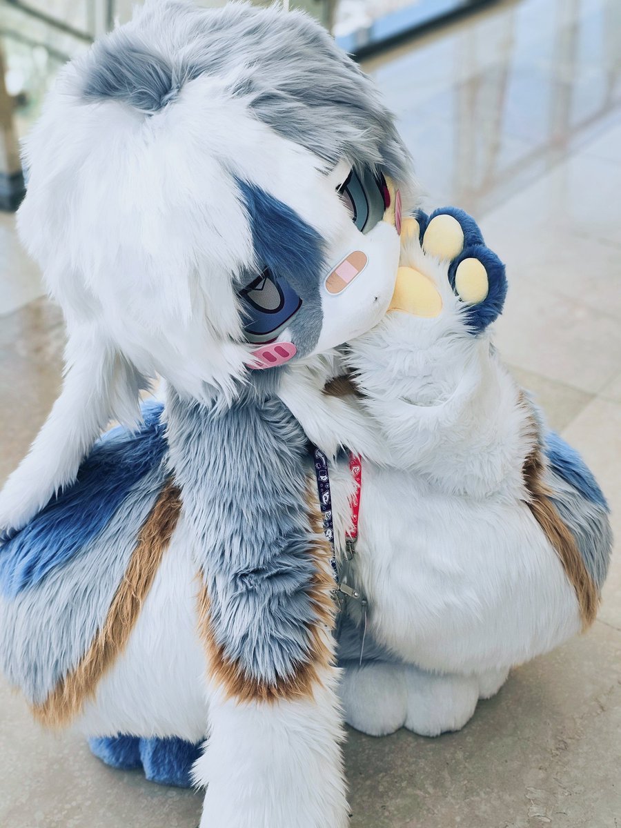 님캐를탐하는자 tweet media