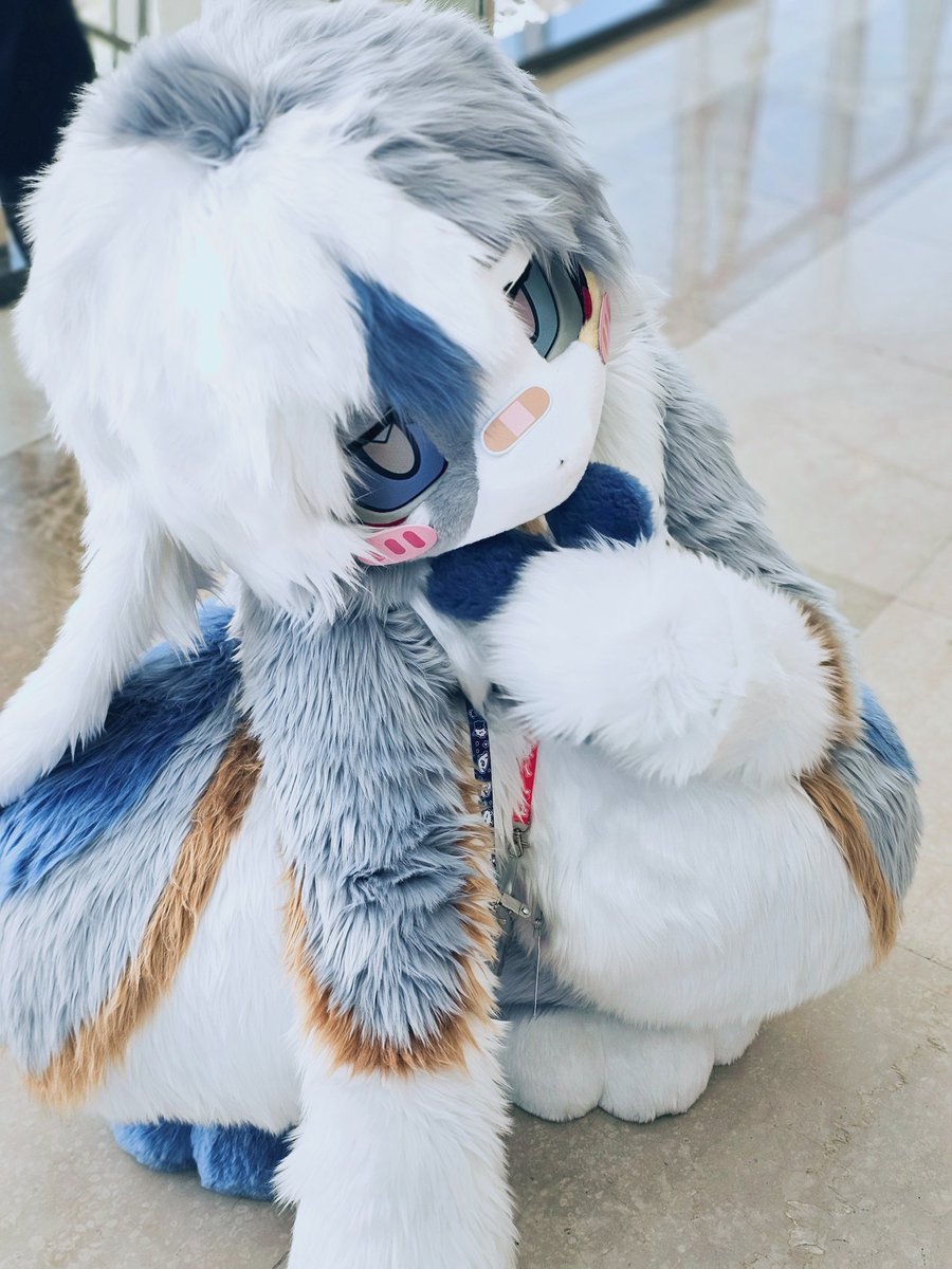 님캐를탐하는자 tweet media