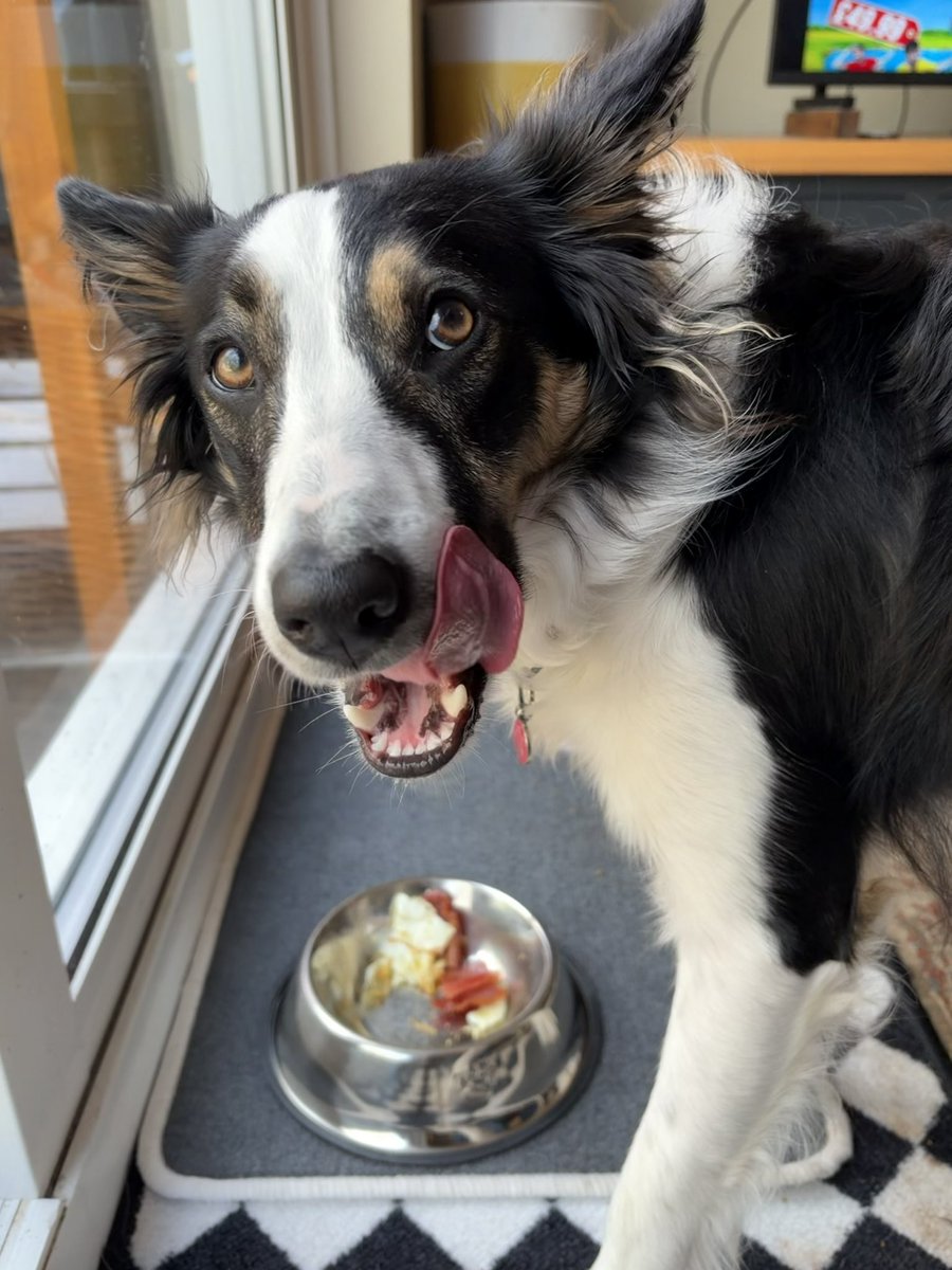 Puppy Bess and Auntie Kes tweet media