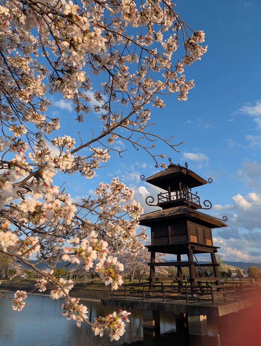 魔術師ヤン tweet media