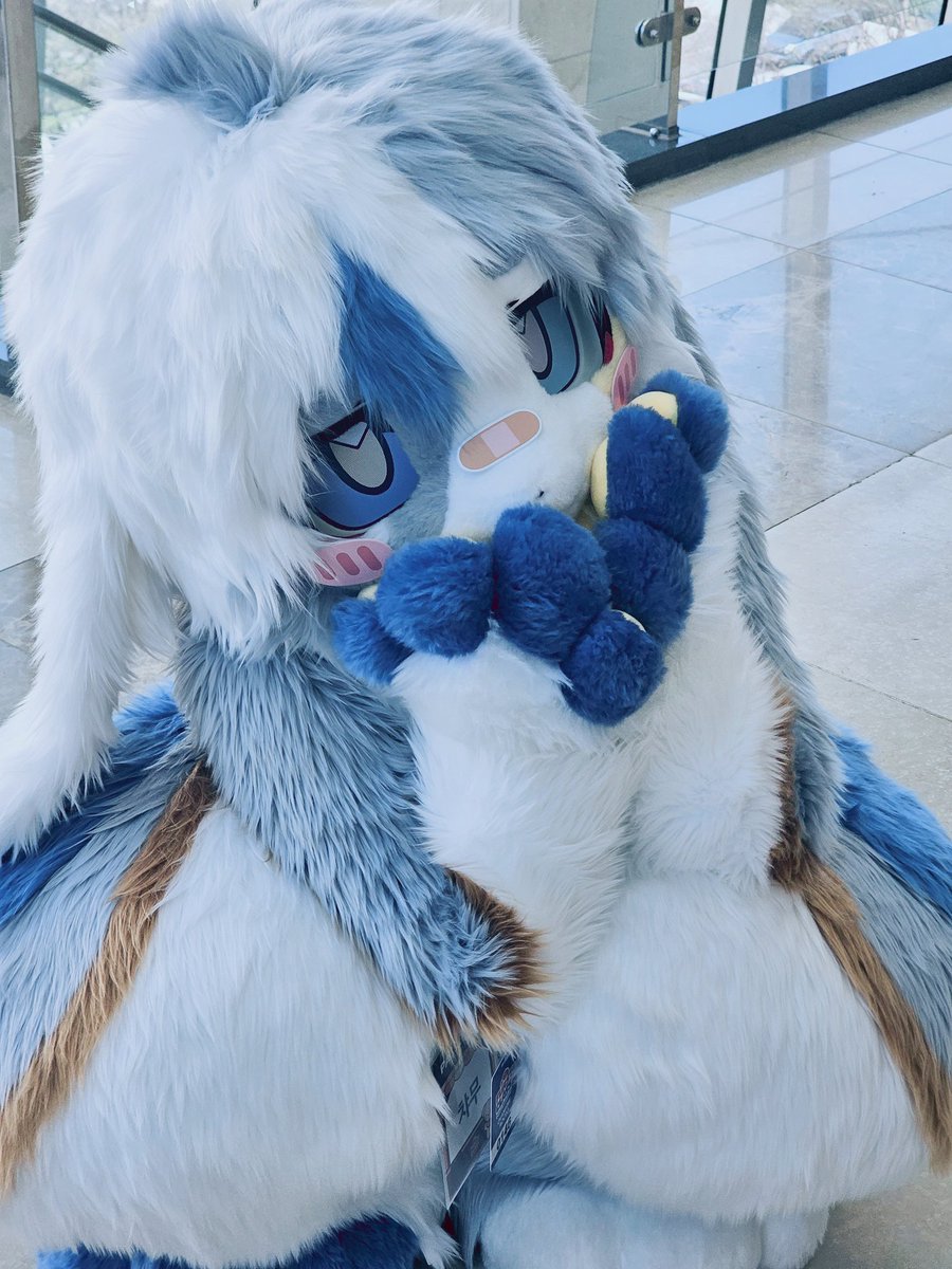 님캐를탐하는자 tweet media