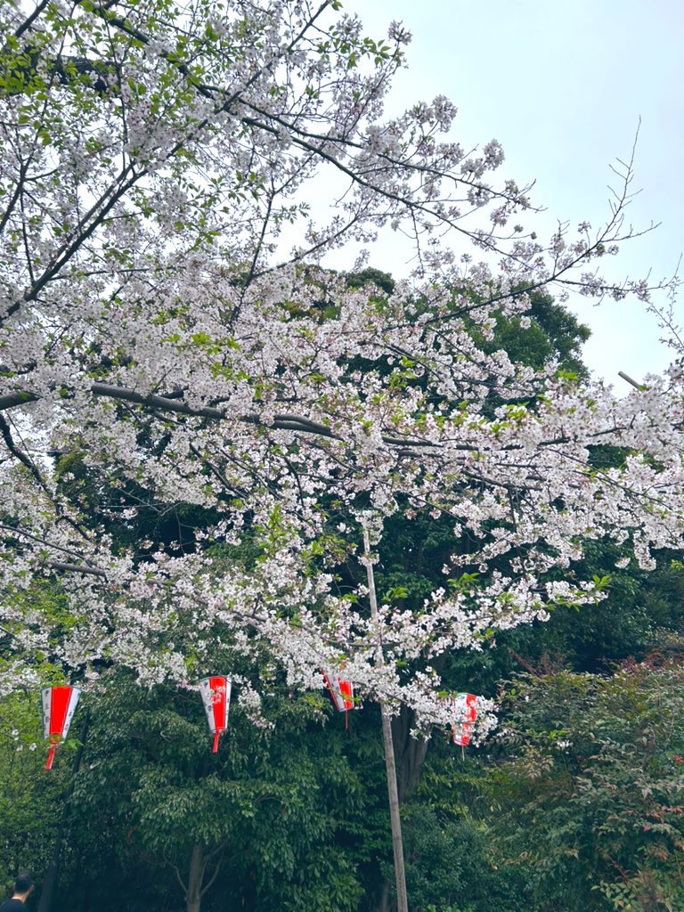 vrai bébé tweet media