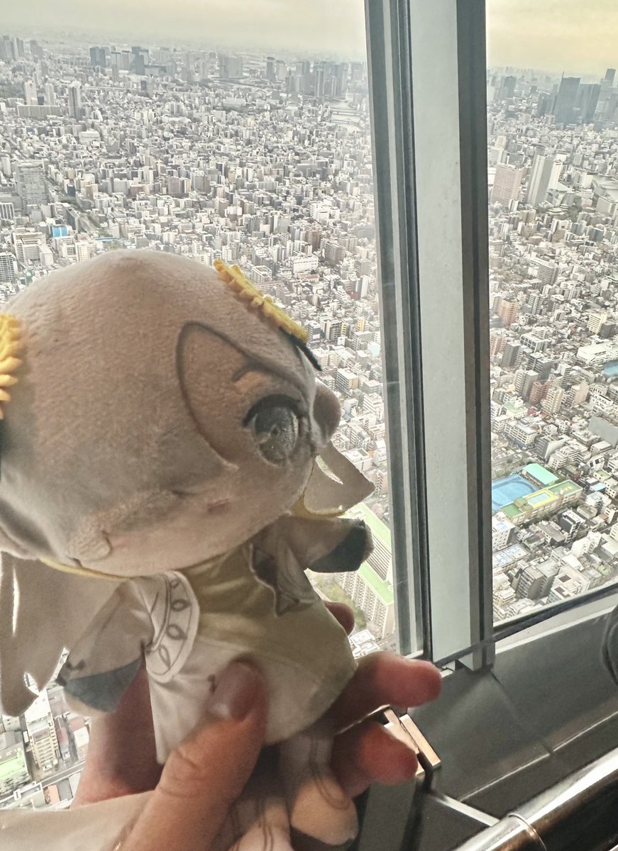 けぇ㌠/ヰ組 tweet media