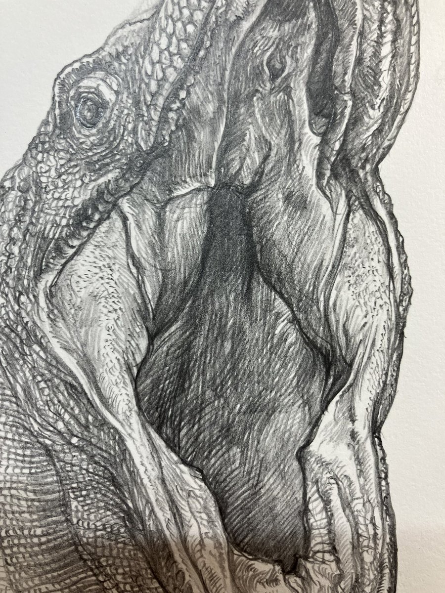 小田　隆　Oda Takashi tweet media