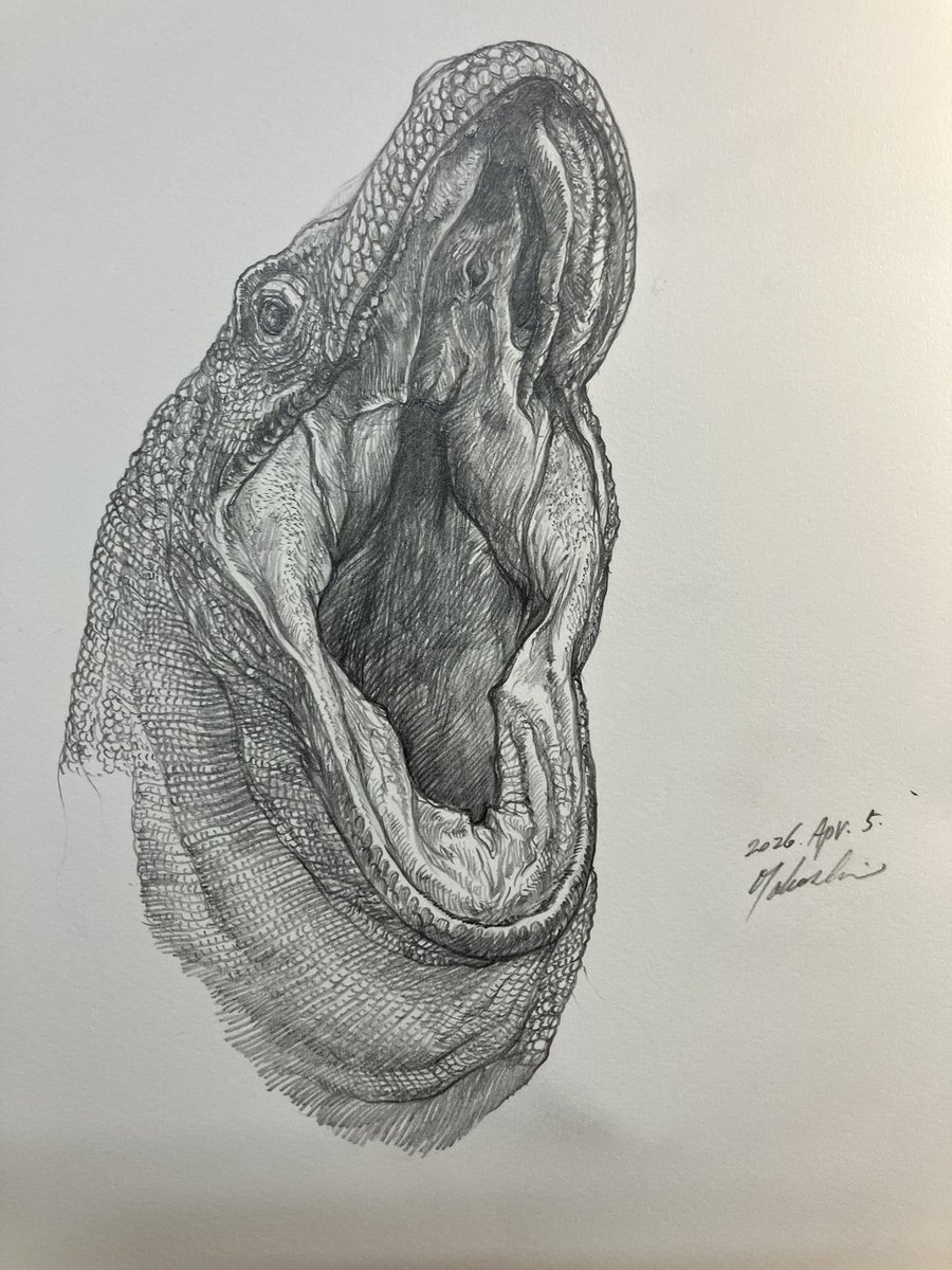 小田　隆　Oda Takashi tweet media