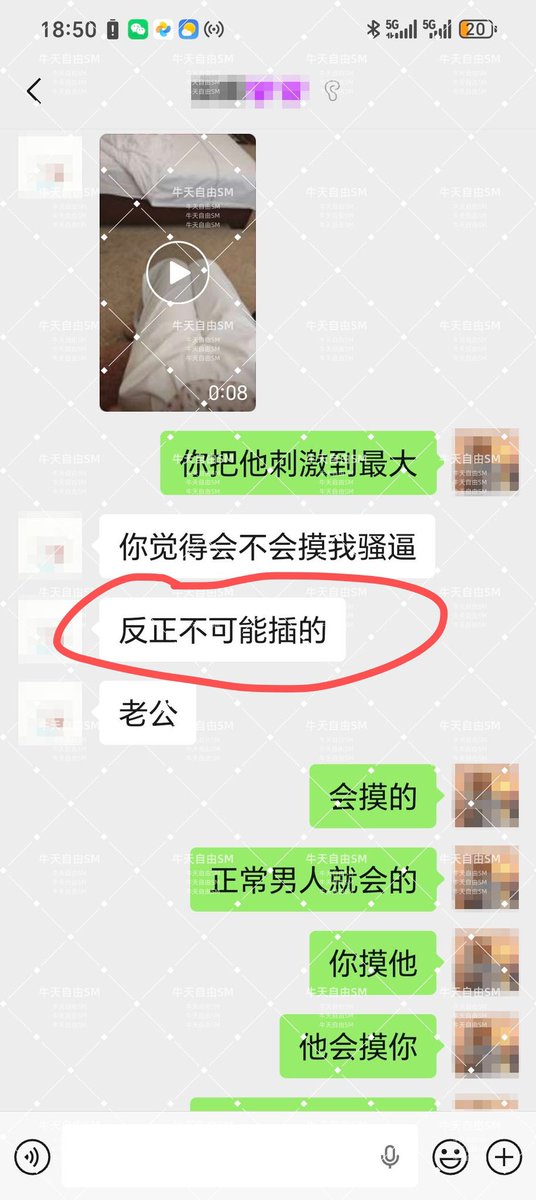 蓝胖子 tweet media