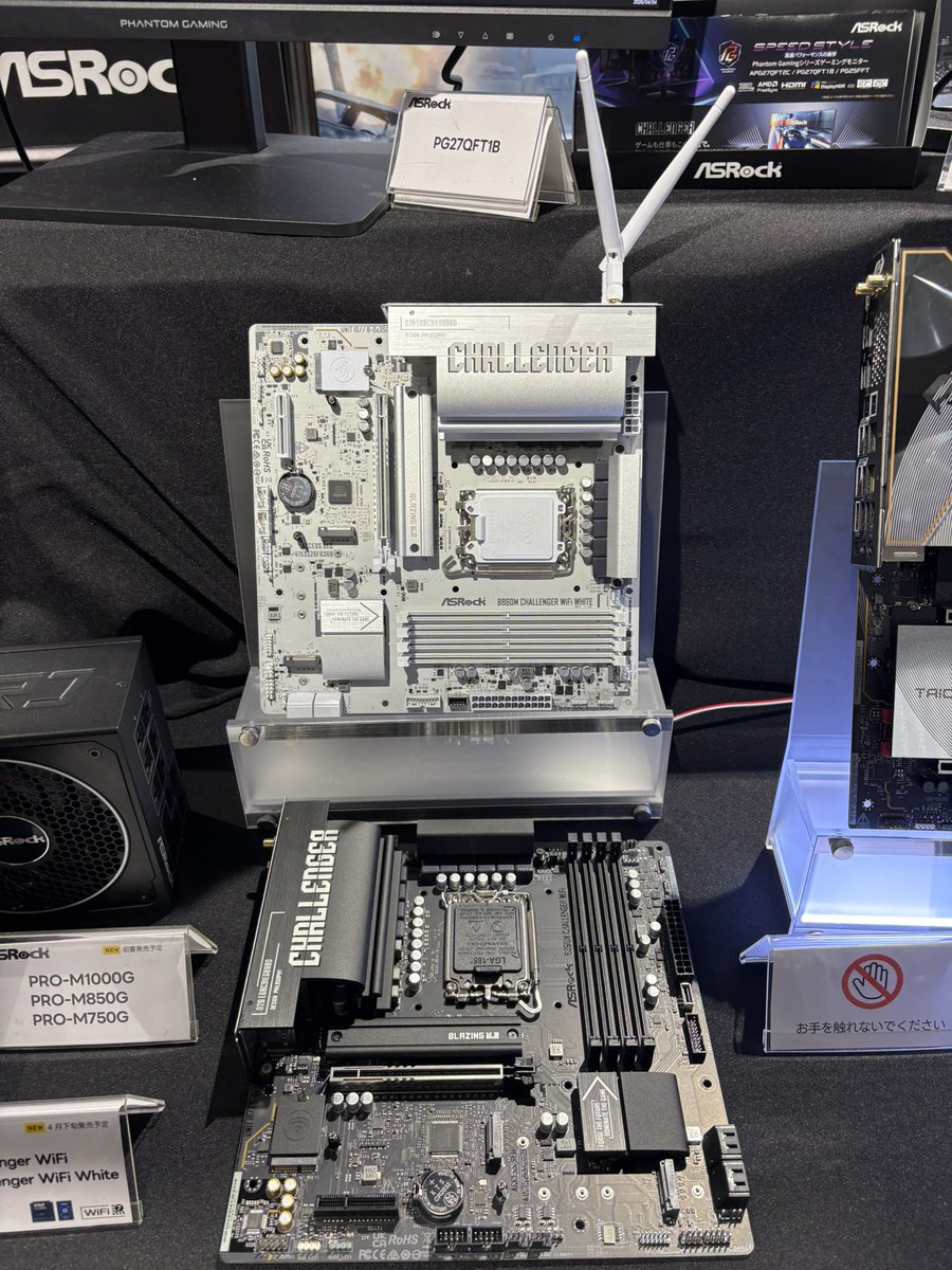 ガイちゃ tweet media