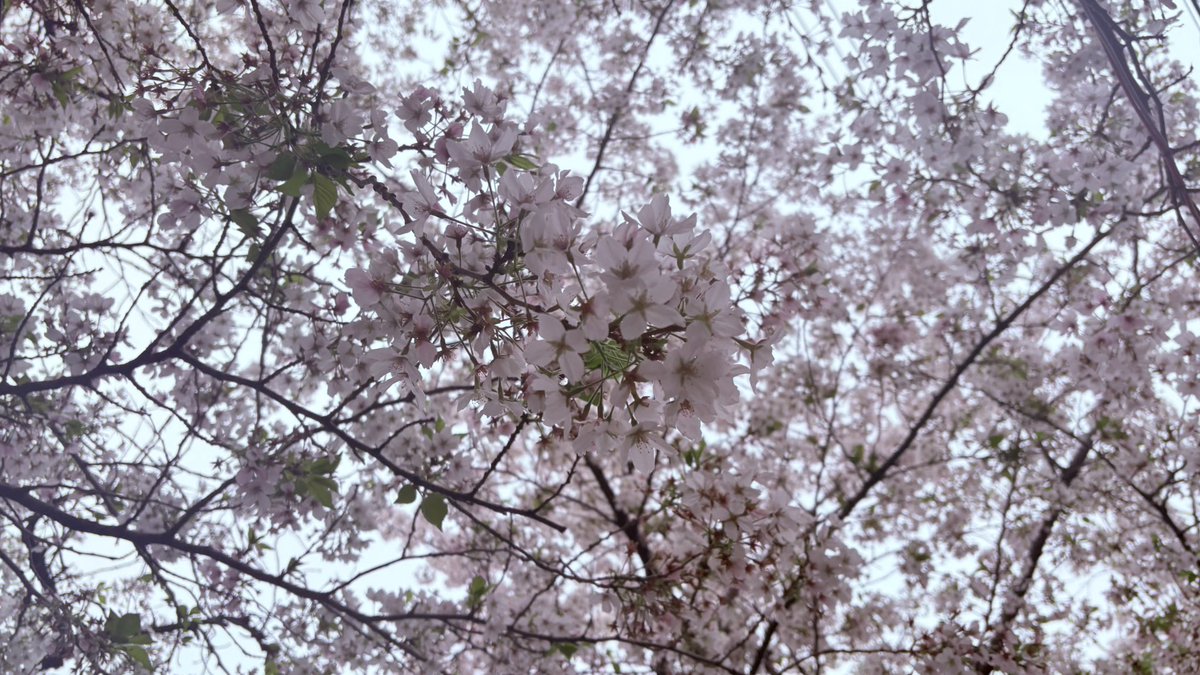 葵葉@RUNTEQ73期C tweet media