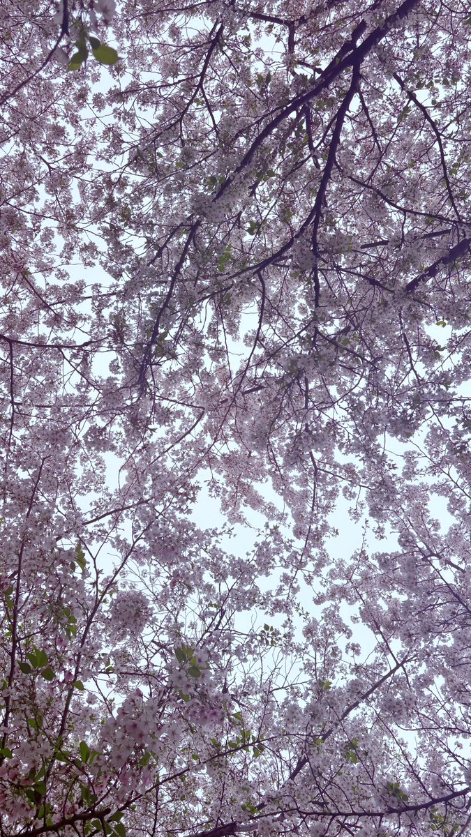 葵葉@RUNTEQ73期C tweet media