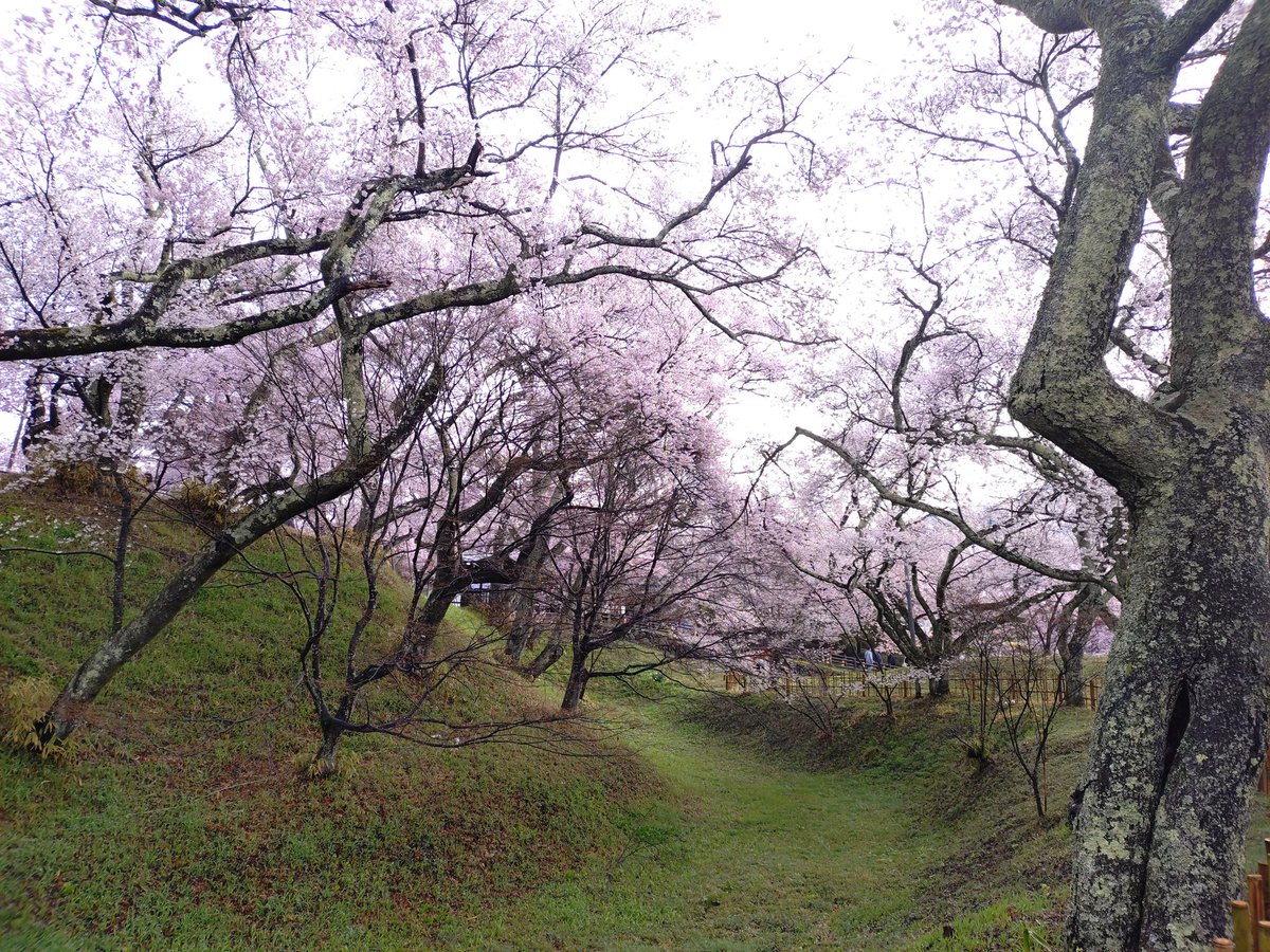 go!!go!? tweet media