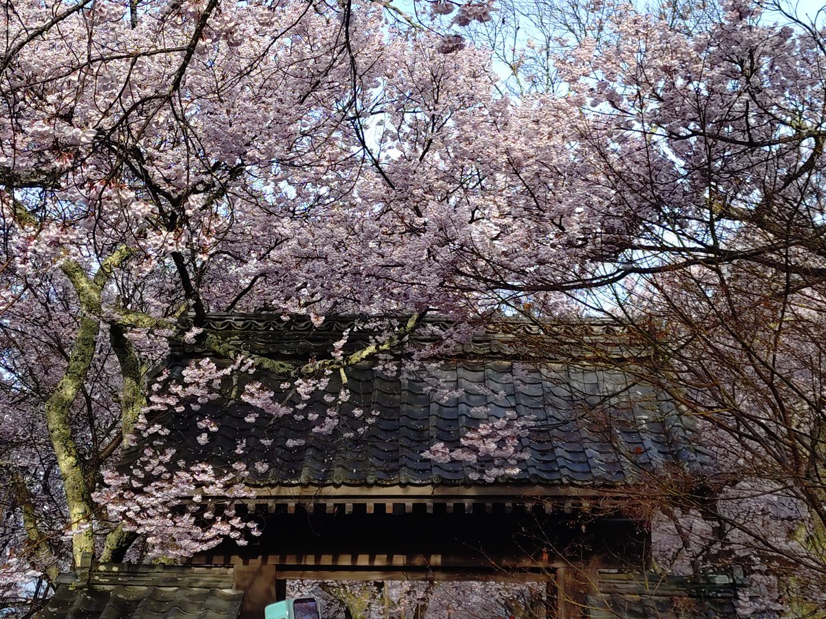 go!!go!? tweet media