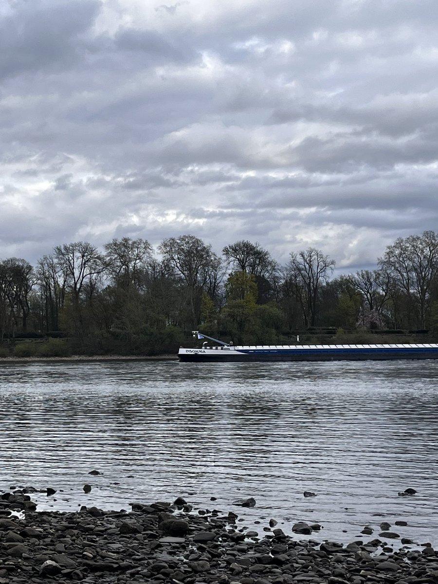 inaya🧟‍♀️⬅️ tweet media