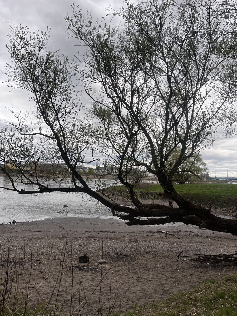 inaya🧟‍♀️⬅️ tweet media