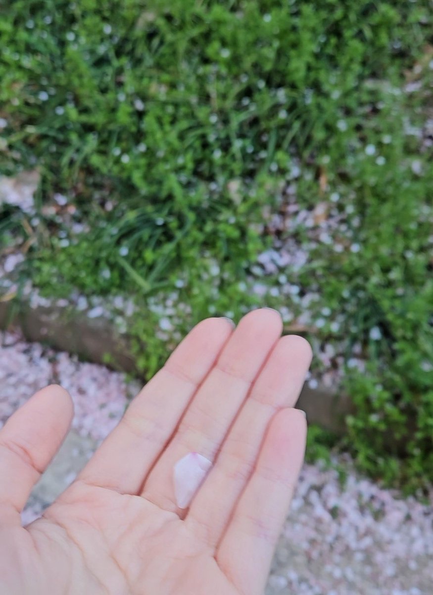 나무 ナム🌳 tweet media