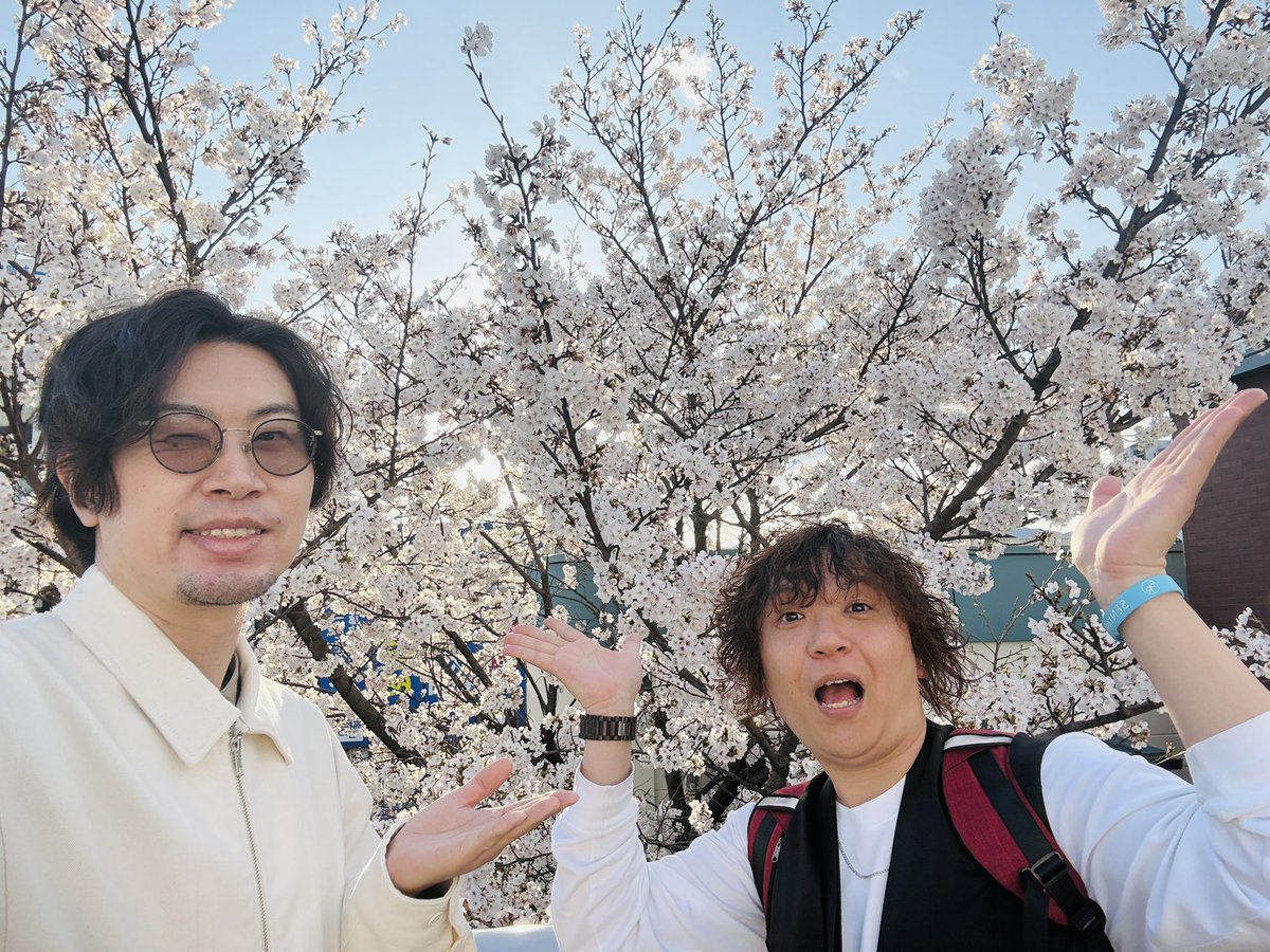 SENtoROI -セントロイ- tweet media