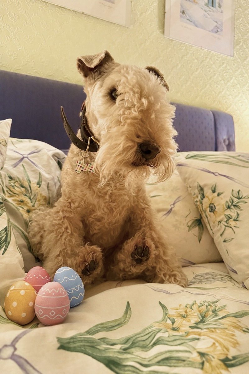 Bertie Lakeland tweet media