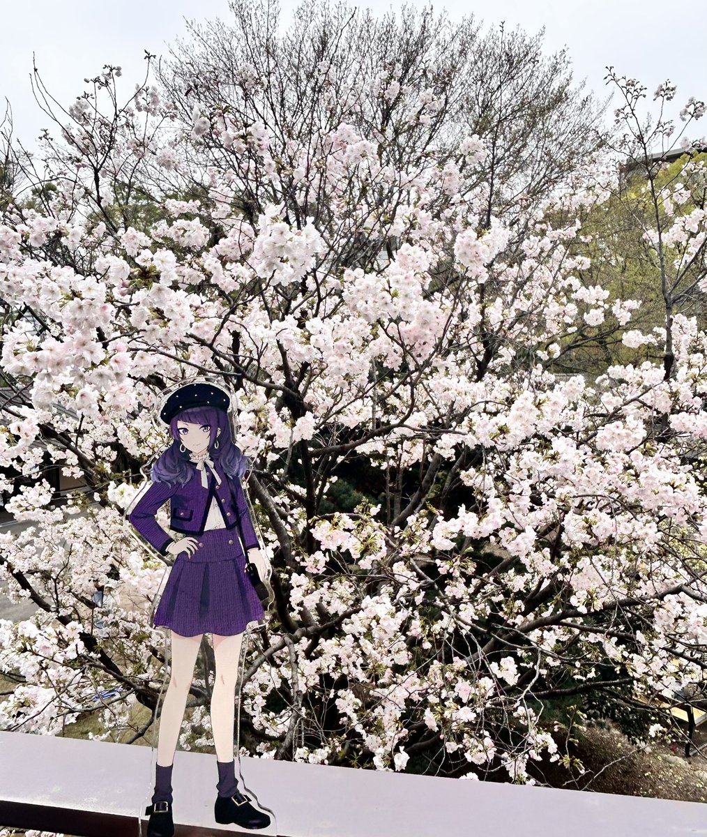 とろろ tweet media