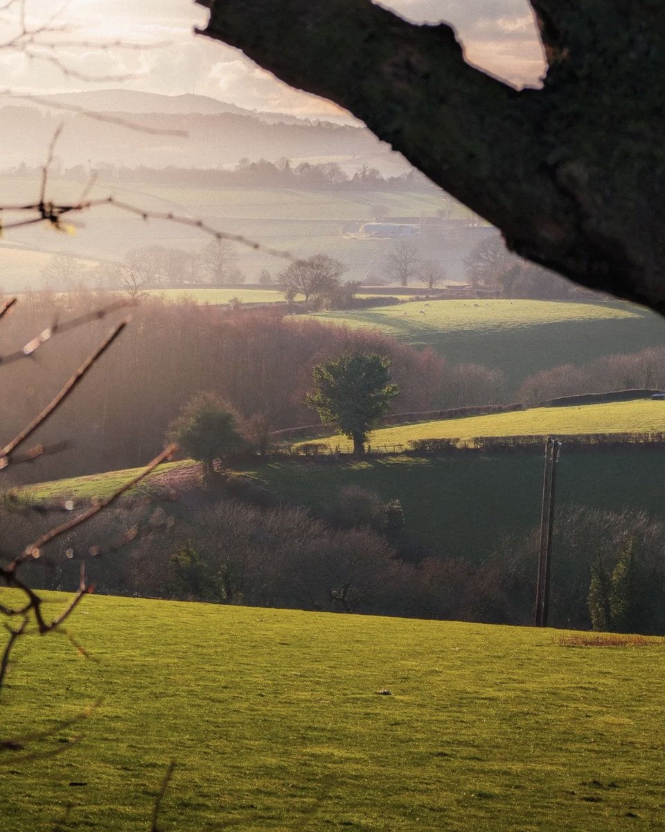 Happy Easter from all of us at Relo Rooms! 🐣

Here are some photos of our home Herefordshire that we love, taken by @ninamayphotography 🌳

#ReloRooms #RoomForRent #newbeginnings #hereford #herefordshire