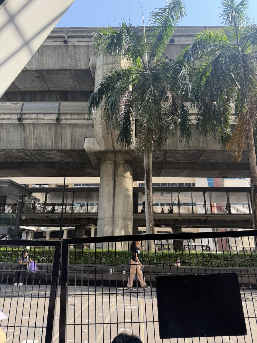 Besevboom Family tweet media