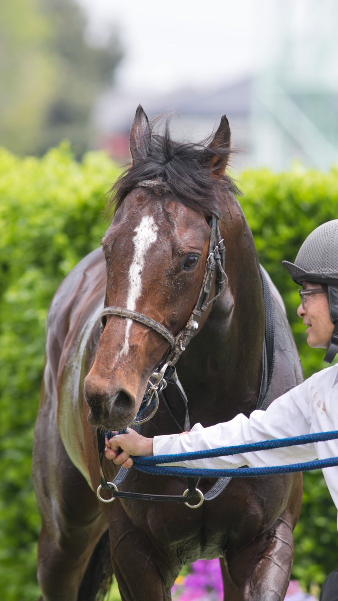 ライシャワー tweet media