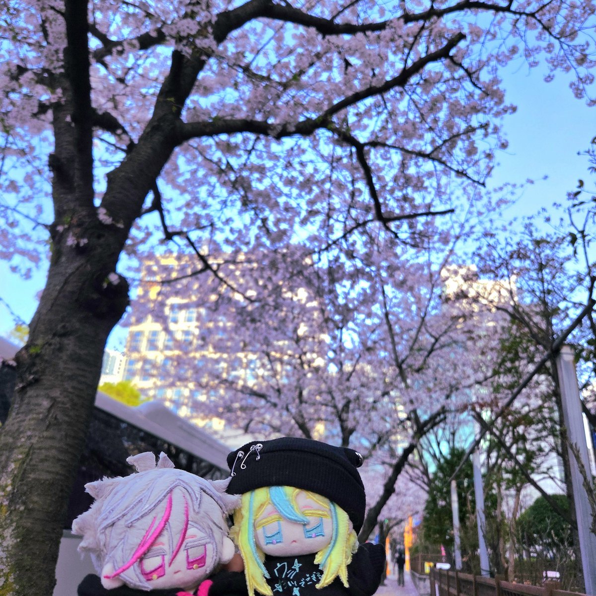 ⟅🍕피자맛솜주먹🍺⟆ tweet media