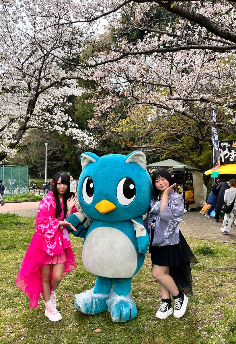 naritaidol's tweet photo. 🌸八千代総合��動公園 桜まつり🌸
ありがとうございました🎤✨

差し入れもたくさんいただき、
本当に嬉しかったです🍹💕

満開の桜の中でのステージは、
私たちの衣装ともぴったりでとても素敵な時間になりました🌸

また皆さんにお会いできるのを楽しみにしています✨ https://t.co/lsVK4vImdH