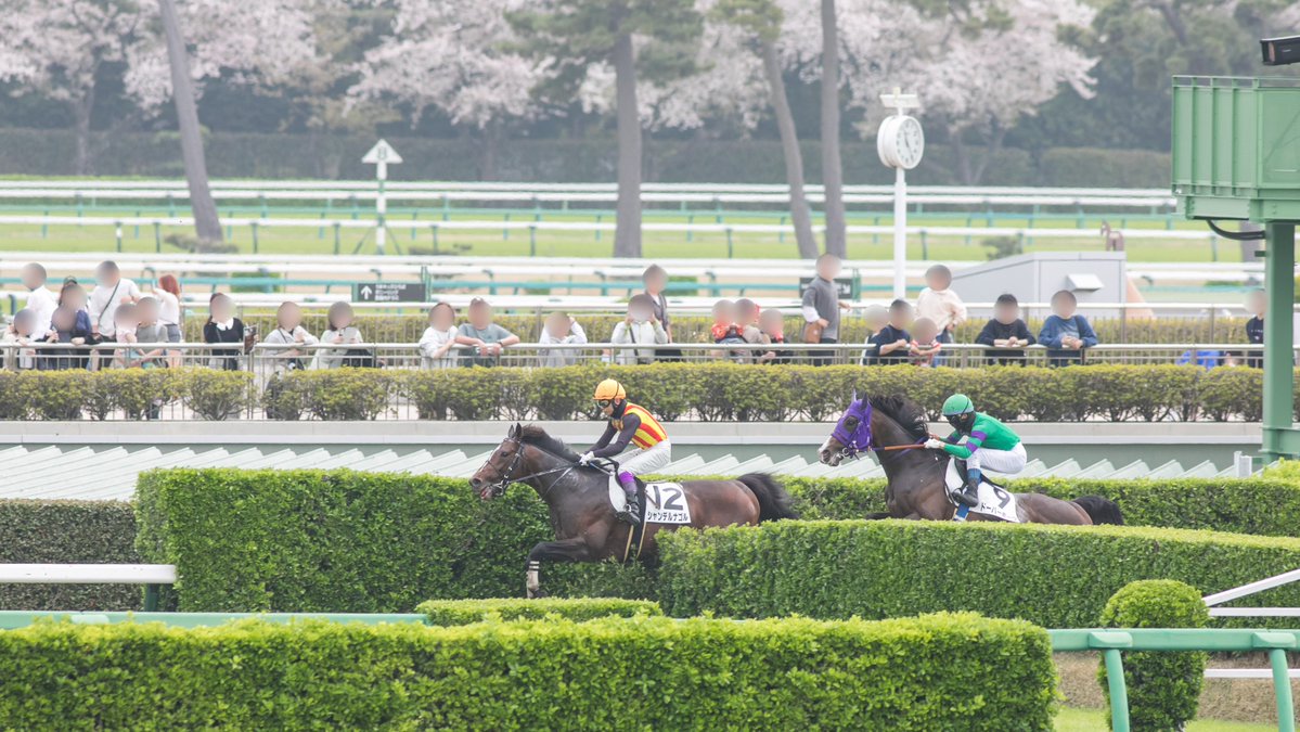 ライシャワー tweet media