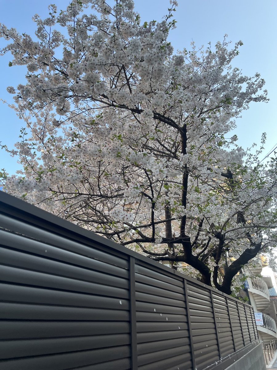 るんるん tweet media