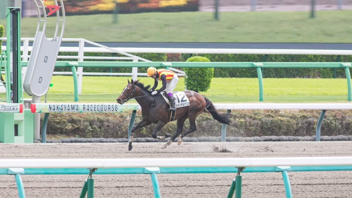 ライシャワー tweet media