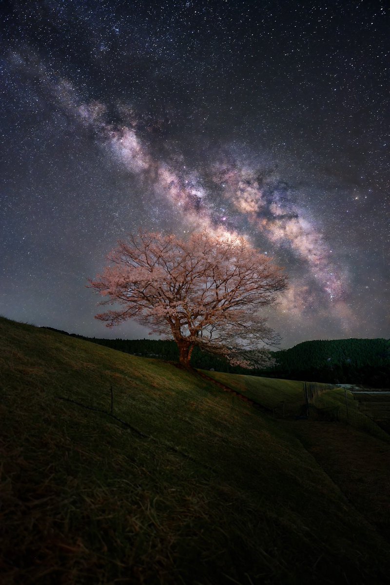 stsnkr's tweet image. 桜と天の川🌸
宇宙空間にいるようでした🪐

#tokyocameraclub