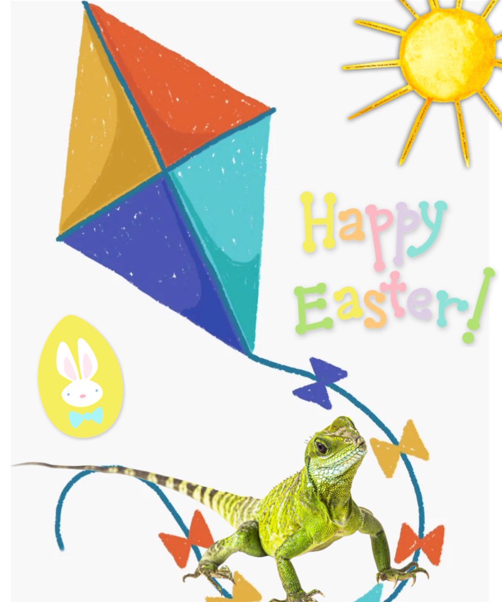 DIPHarryLizard's tweet image. A very happy Easter if you celebrate it and a good spring Sunday to everyone!

I thought I’d get the kite looked out bright and early - hopefully Mervin and Eloise will join me in flying it! 🪁🐣💚

#happyeaster #kite #deathinparadise #harrythelizard