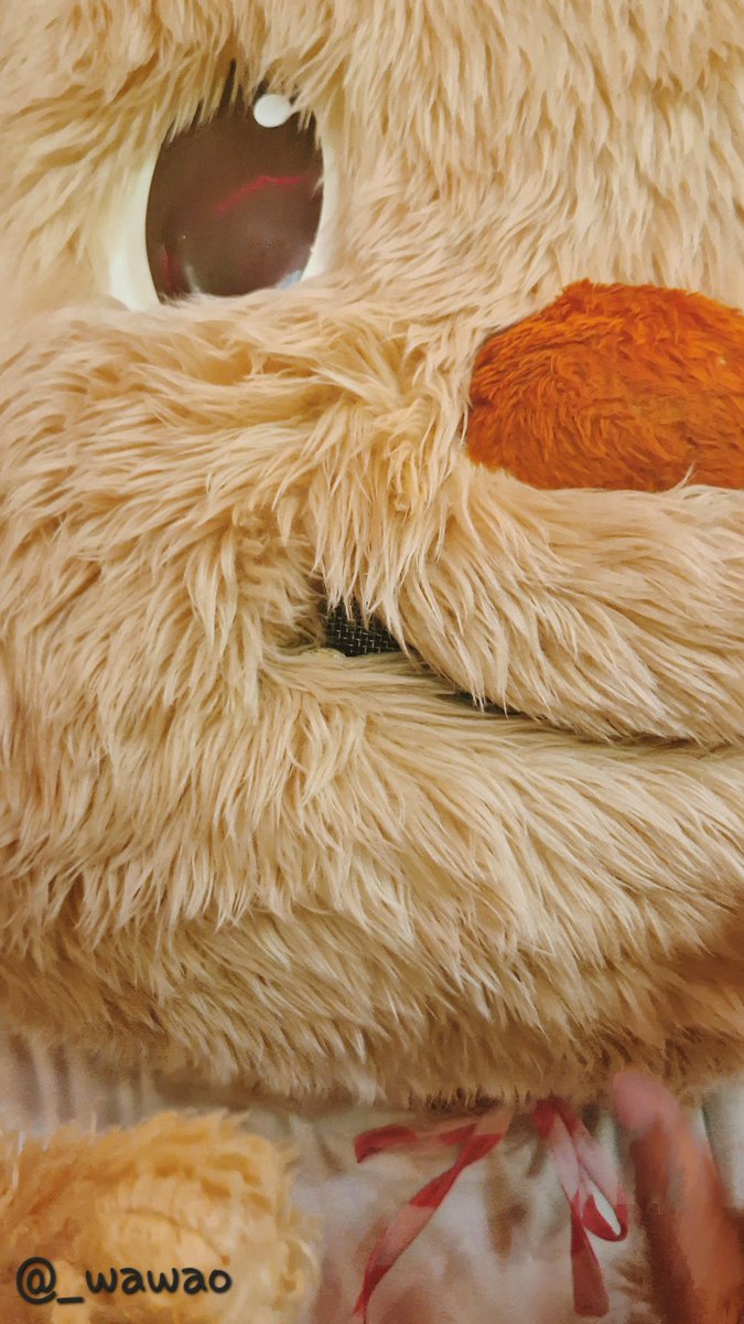 ดับเบิ้ลยูเอโอ 🐱 tweet media