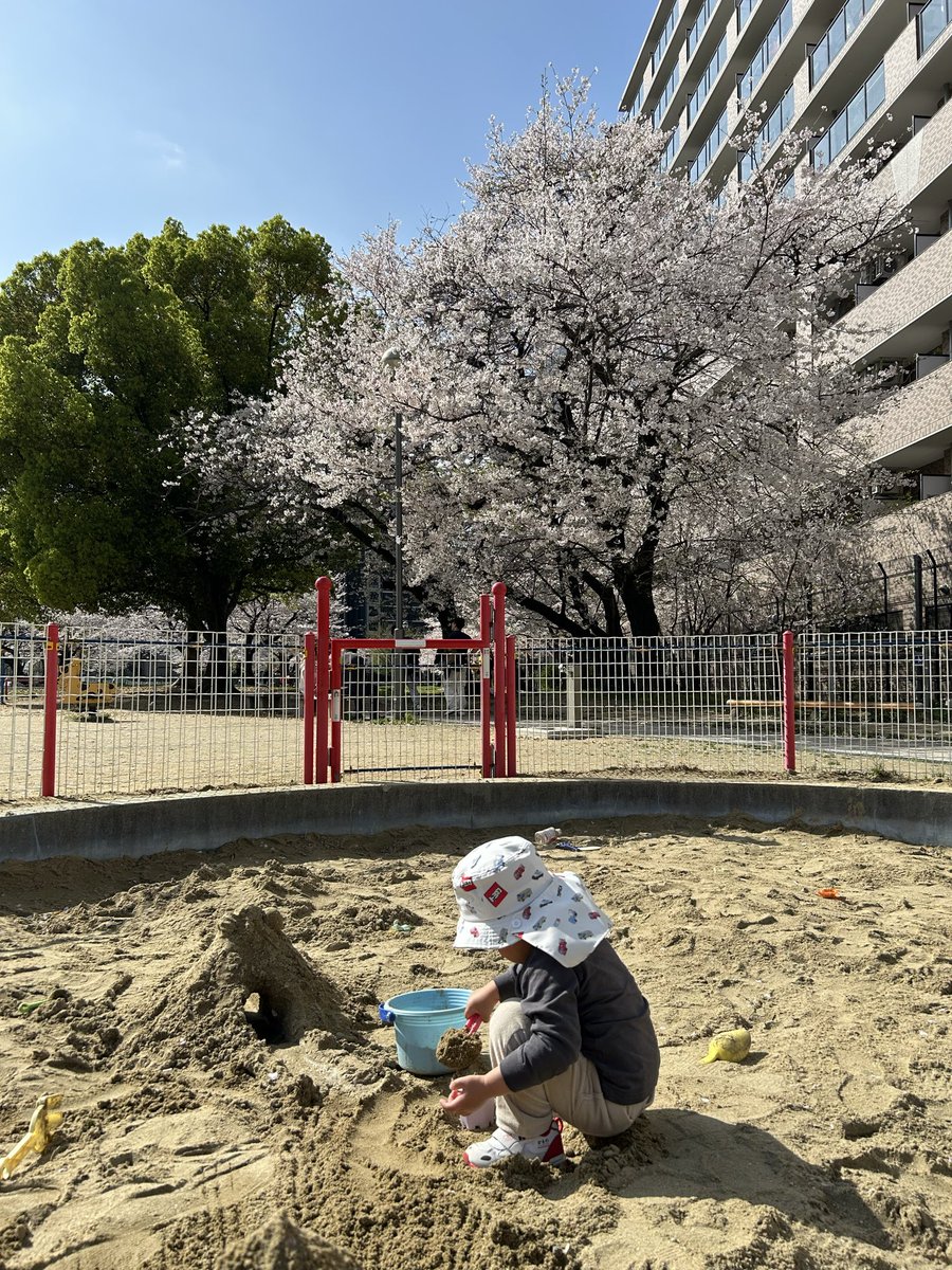 masarusan_310's tweet photo. 砂遊びとシャボン玉、息子とやると改めて面白いなと思います。
自分が子供の頃にやったことを大人になってからまた遊べる、これはなかなか嬉しいことです。
福岡は桜が満開で綺麗なのですが、花粉がハンパない。
あと、もう夏かと思うくらい暑い… https://t.co/6weB4FZ2r9