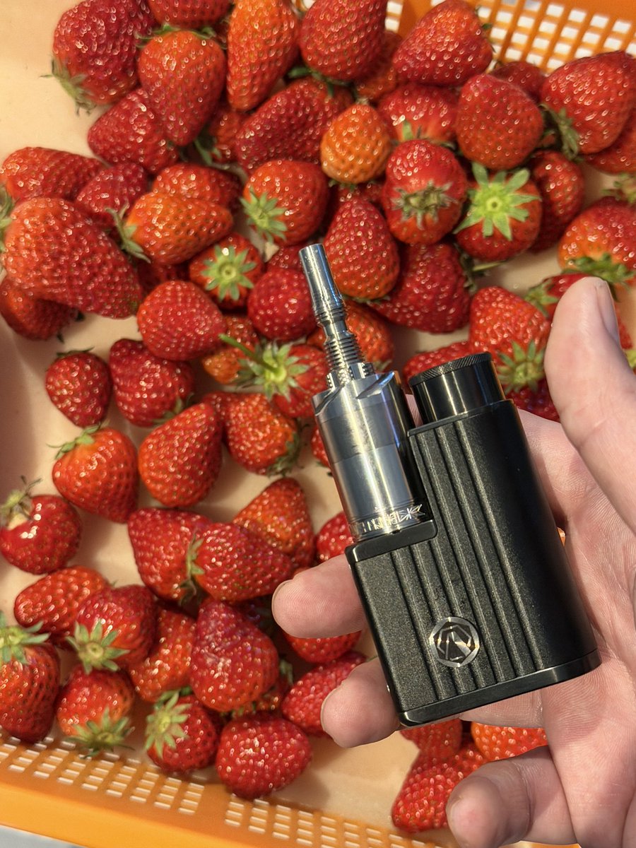 ナダクマタロウ tweet media