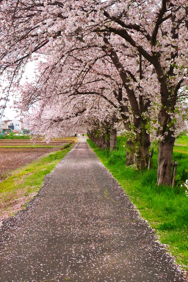 ｫﾑT=з宀 tweet media