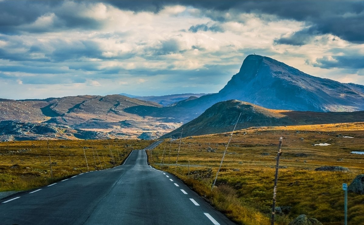 Jordnöt 🇦🇽 🇪🇺 tweet media