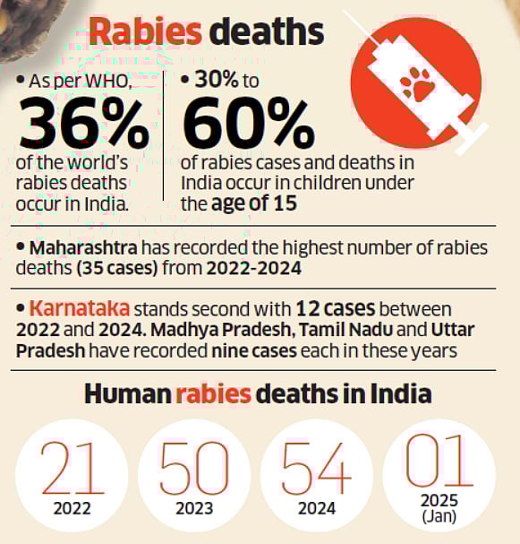 Mega-Infro tweet media