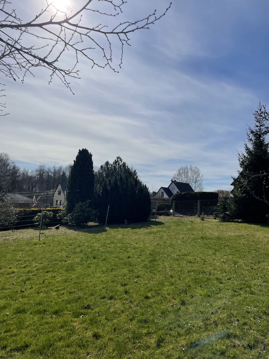 Doschke 731 🇩🇪 tweet media