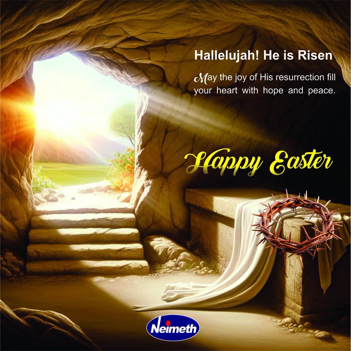 Neimeth PLC tweet media