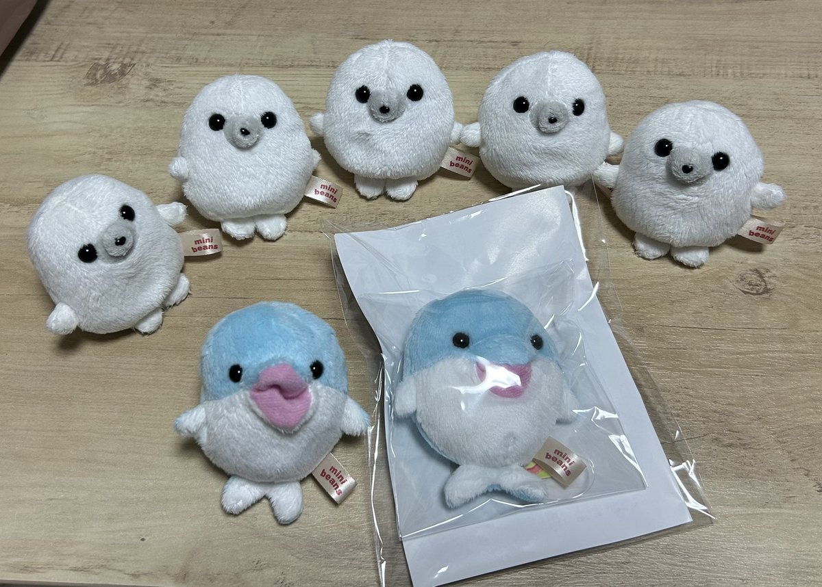 まめ子 tweet media