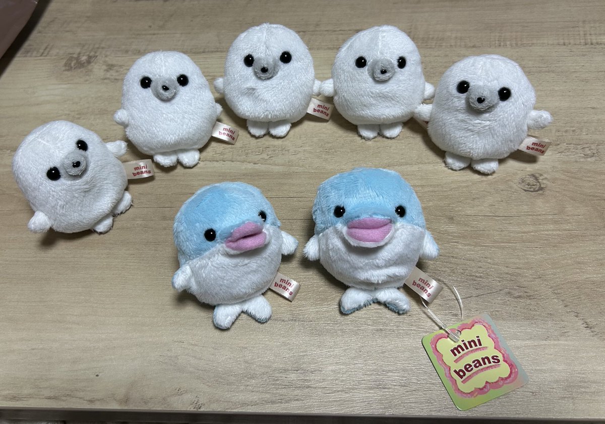 まめ子 tweet media